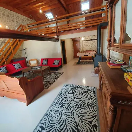 Grande Maison En Pierres Avec Jardin Clos, Proche Des Stations Thermales Et Des Volcans D'auvergne - Fr-1-489-198 *